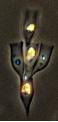 Dinobryon sertularia