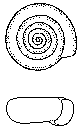 Bathyomphalus