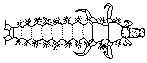 Hydroptilidae