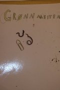 Green Worm (Allolobophora chlorotica)