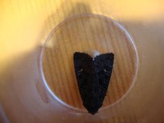 Black Rustic (Aporophyla nigra)
