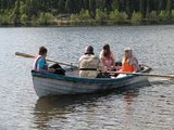 Ørret (Salmo trutta)