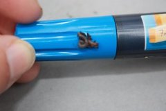 Green Worm (Allolobophora chlorotica)