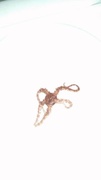 Brittle stars (Ophiuroidea)