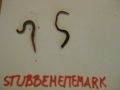 Stubbemeitemark (Dendrodrilus rubidus)
