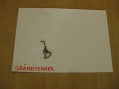 Gråmeitemark (Aporrectodea caliginosa)