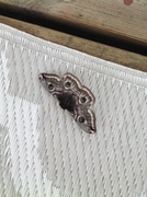 Emperor Moth (Saturnia pavonia)