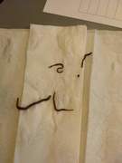 Red Wiggler Worm (Eisenia andrei/fetida)