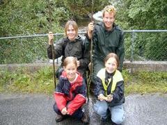 Brown trout (Salmo trutta)