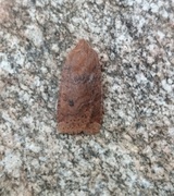 The Chestnut (Conistra vaccinii)