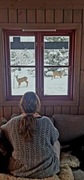 Roe Deer (Capreolus capreolus)