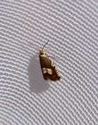 Triple-stripe Piercer (Grapholita compositella)