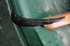 Ash-black Slug (Limax cinereoniger)