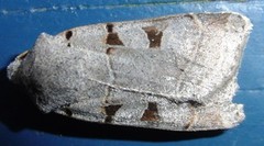 Autumnal Rustic (Eugnorisma glareosa)