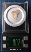 Dotted Border (Agriopis marginaria)