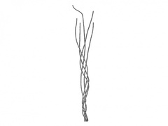 Laksesnøre (Chaetomorpha melagonium)