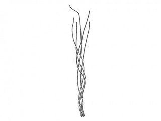 Laksesnøre (Chaetomorpha melagonium)