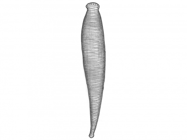 Igle