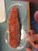 Sea cucumbers (Holothuroidea)